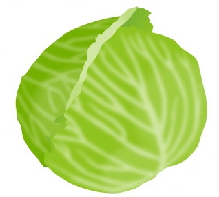 cabbage