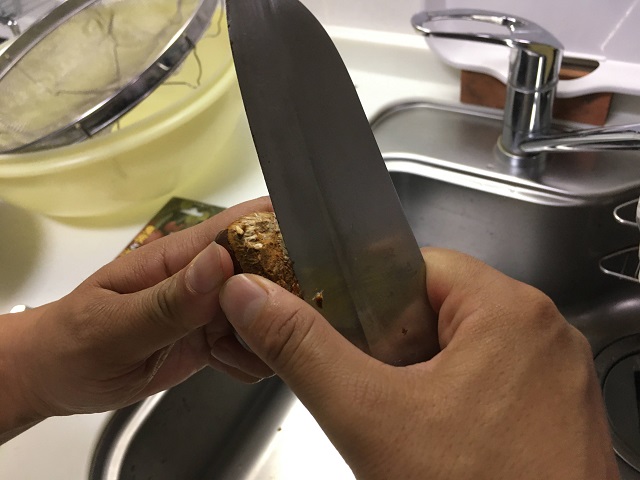 Kurigohan (rice boiled with chestnuts)