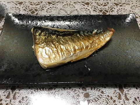 mackerel
